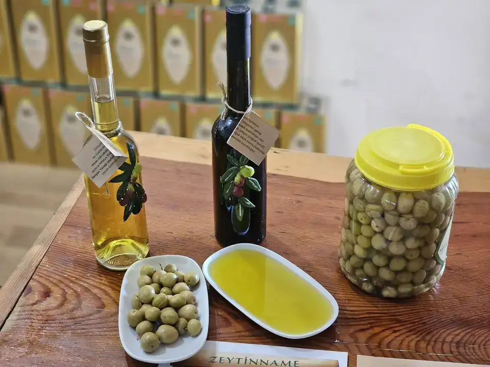 Antalya Tavşan Yüreği Zeytinyağı Litresi 1500 TL 3